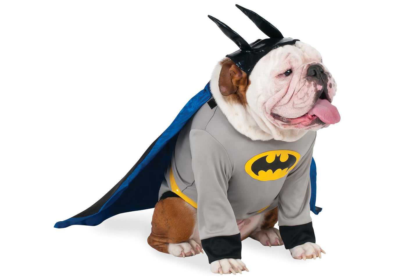 Dog Halloween Costumes | Batman