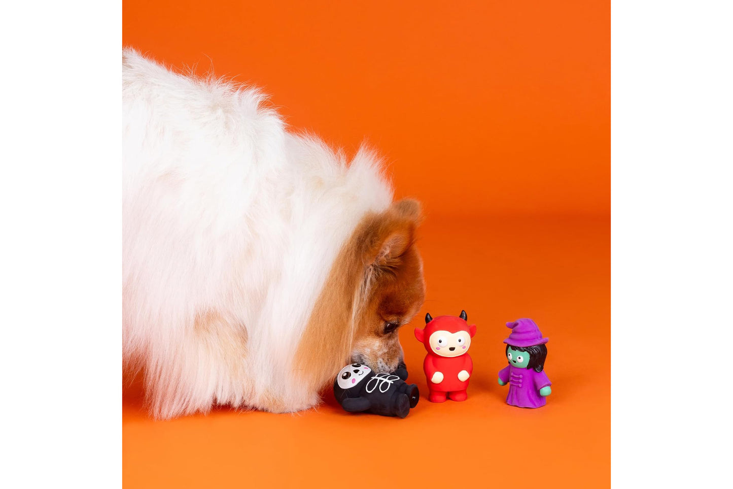 Halloween - Fright This Way Latex Dog Toy