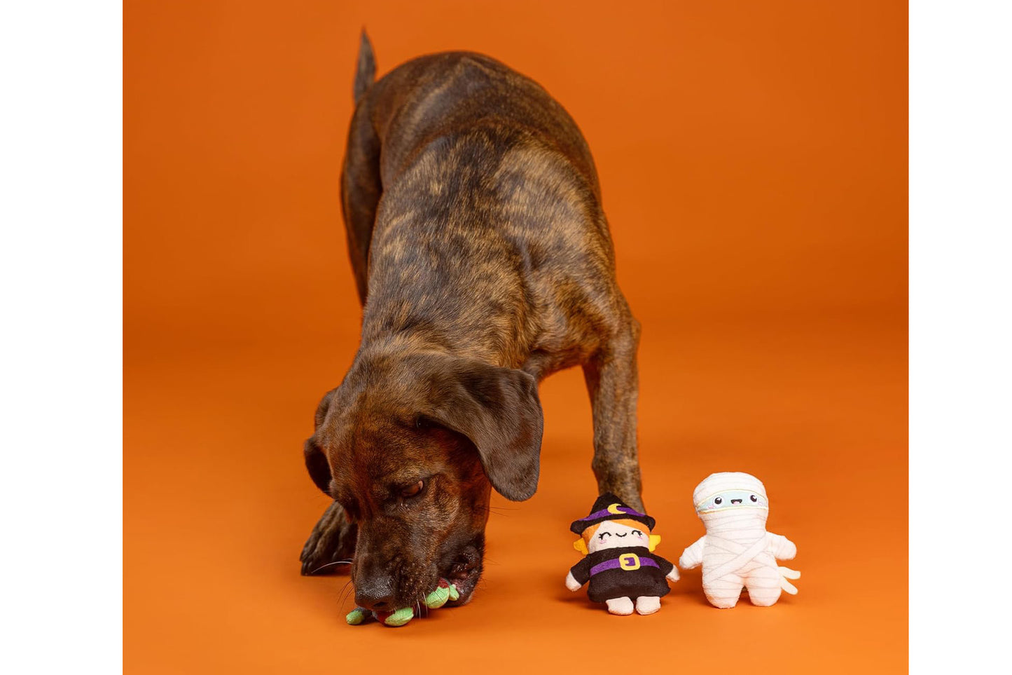 Halloween - Ghouls Wanna Have Fun Plush Dog Toy