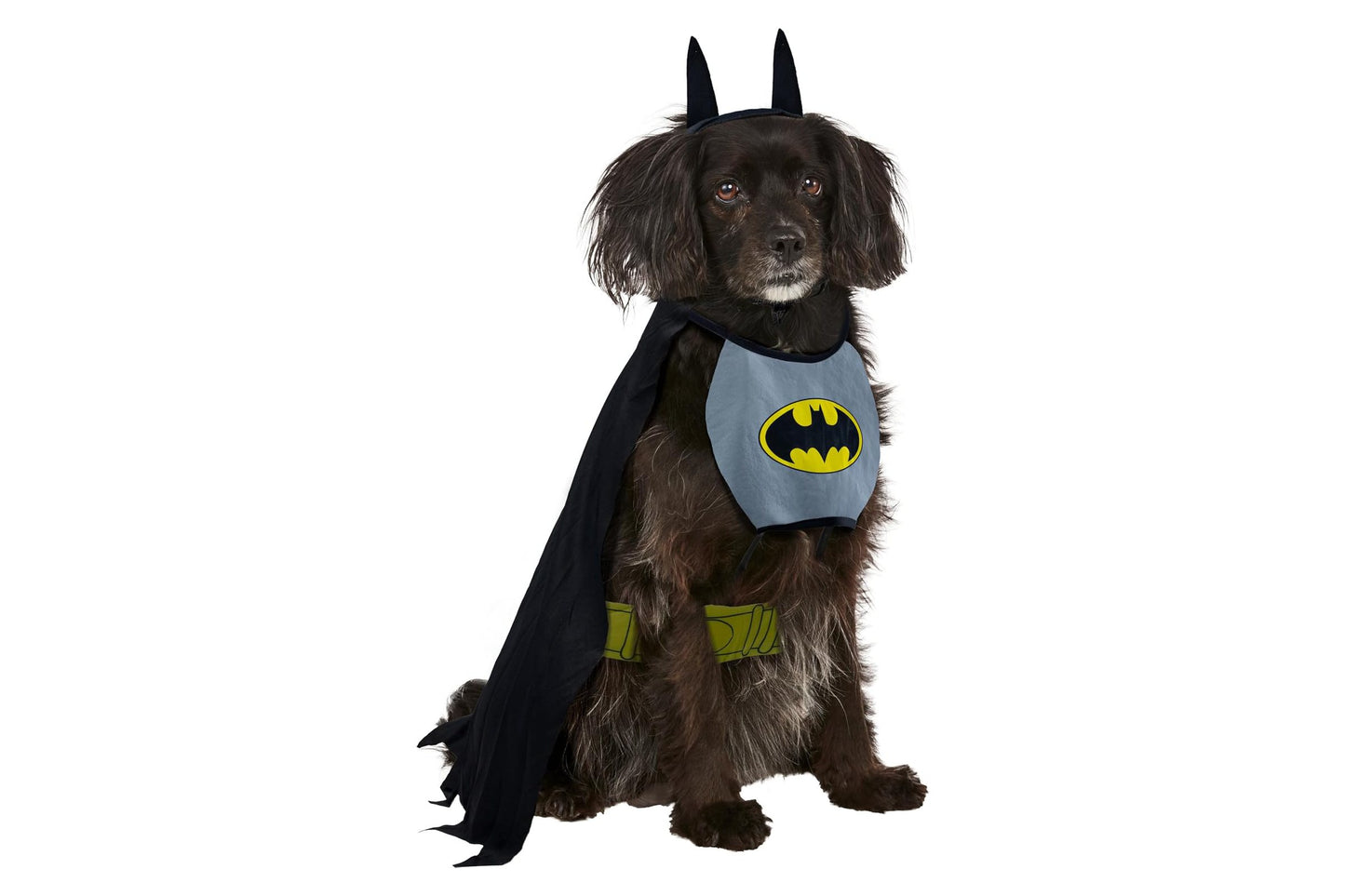 Dog Halloween Costumes | Batman Classic