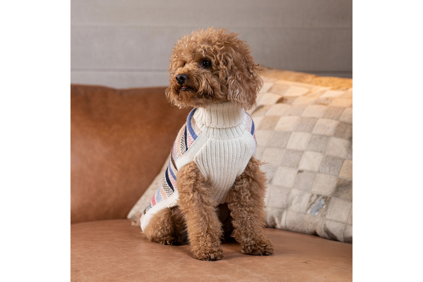 Dog Sweater - Blushline Stripe Alpaca Dog Sweater