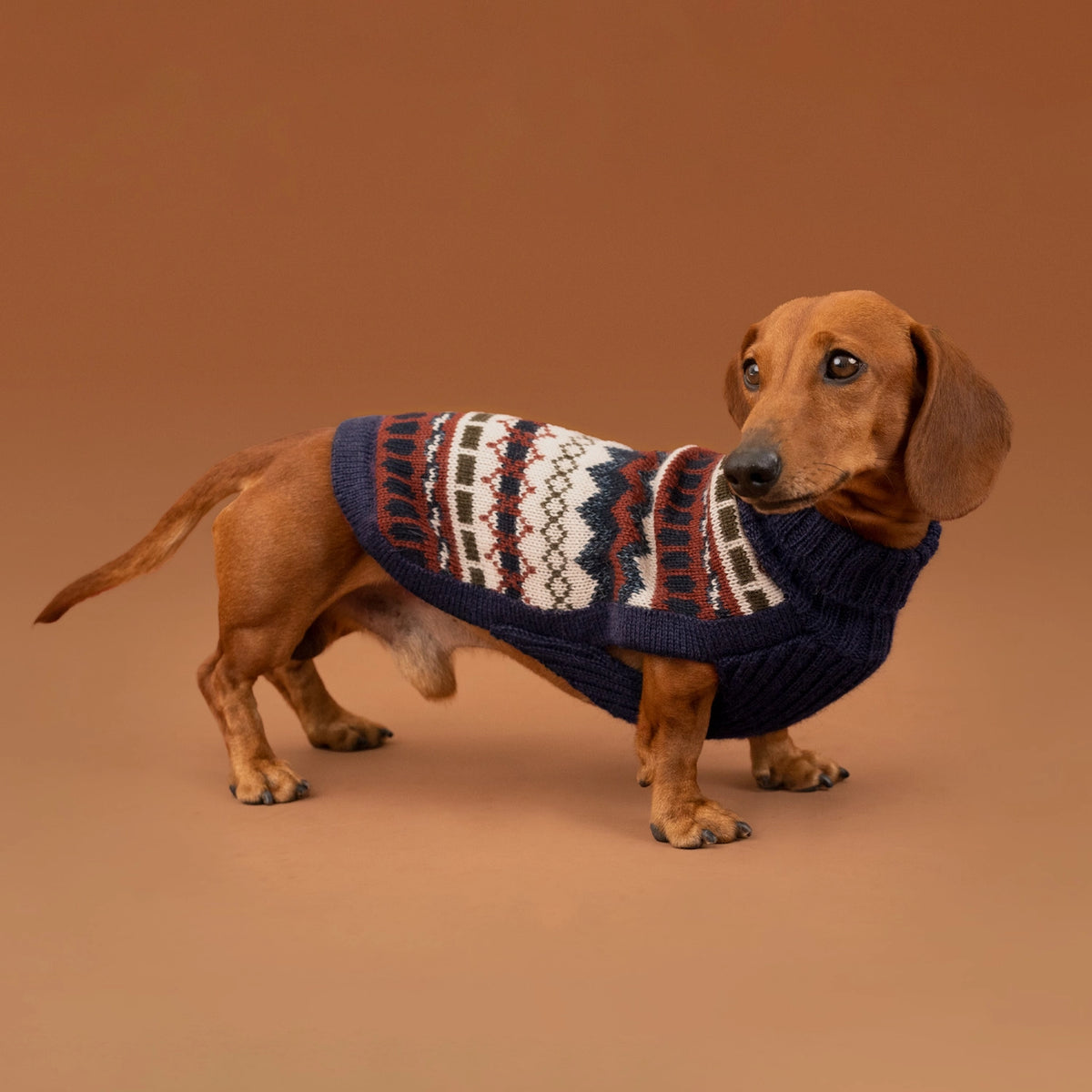 Dog Sweater - Iceberg Alpaca Dog Sweater