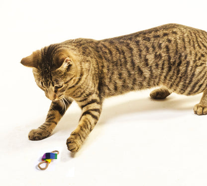 Cat Toy - Cat Dancer Bowtie Chasers