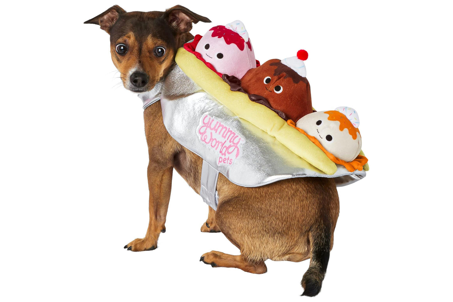 Dog Halloween Costumes | Banana Split
