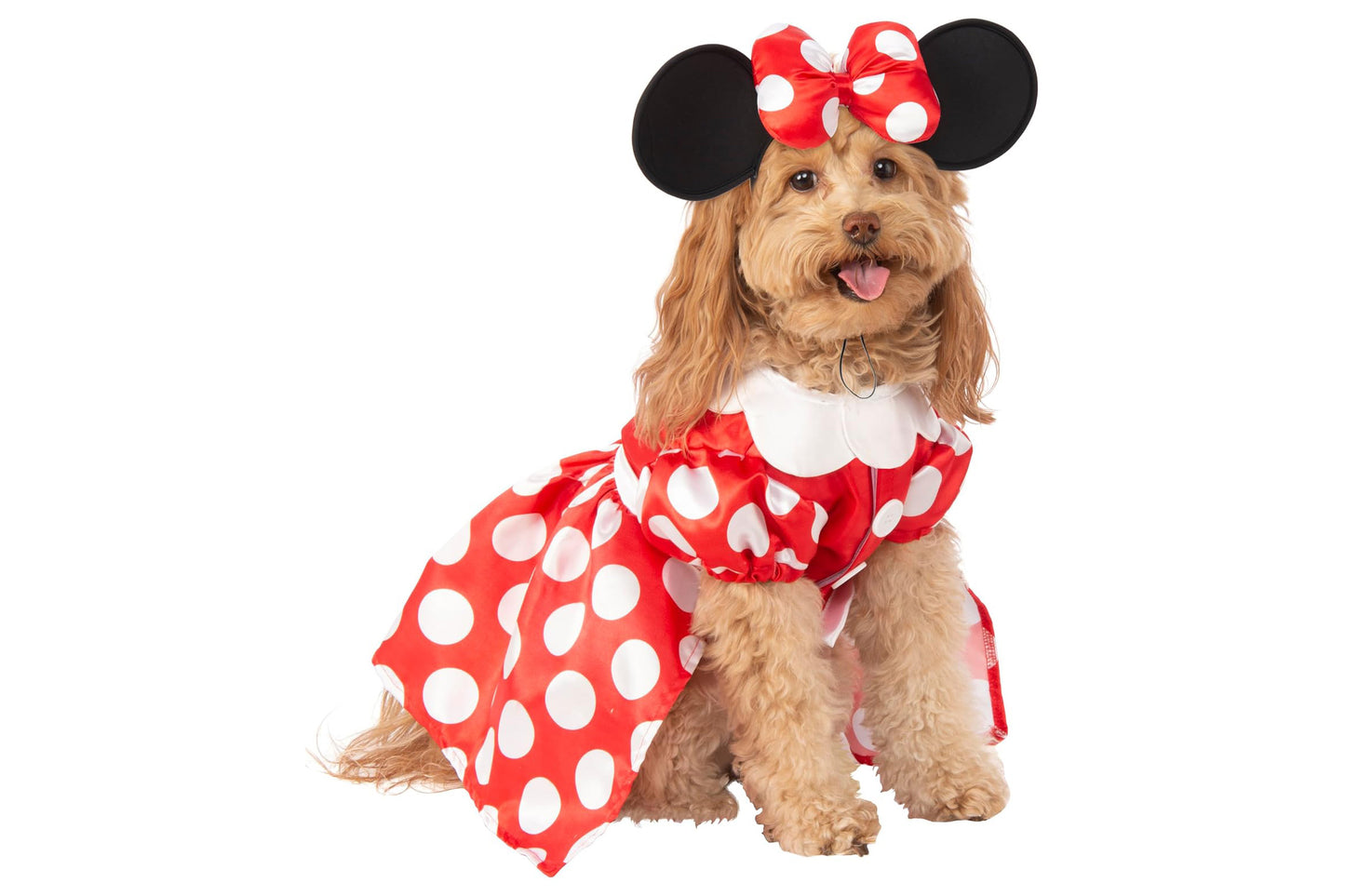 Dog Halloween Costumes | Minnie Mouse