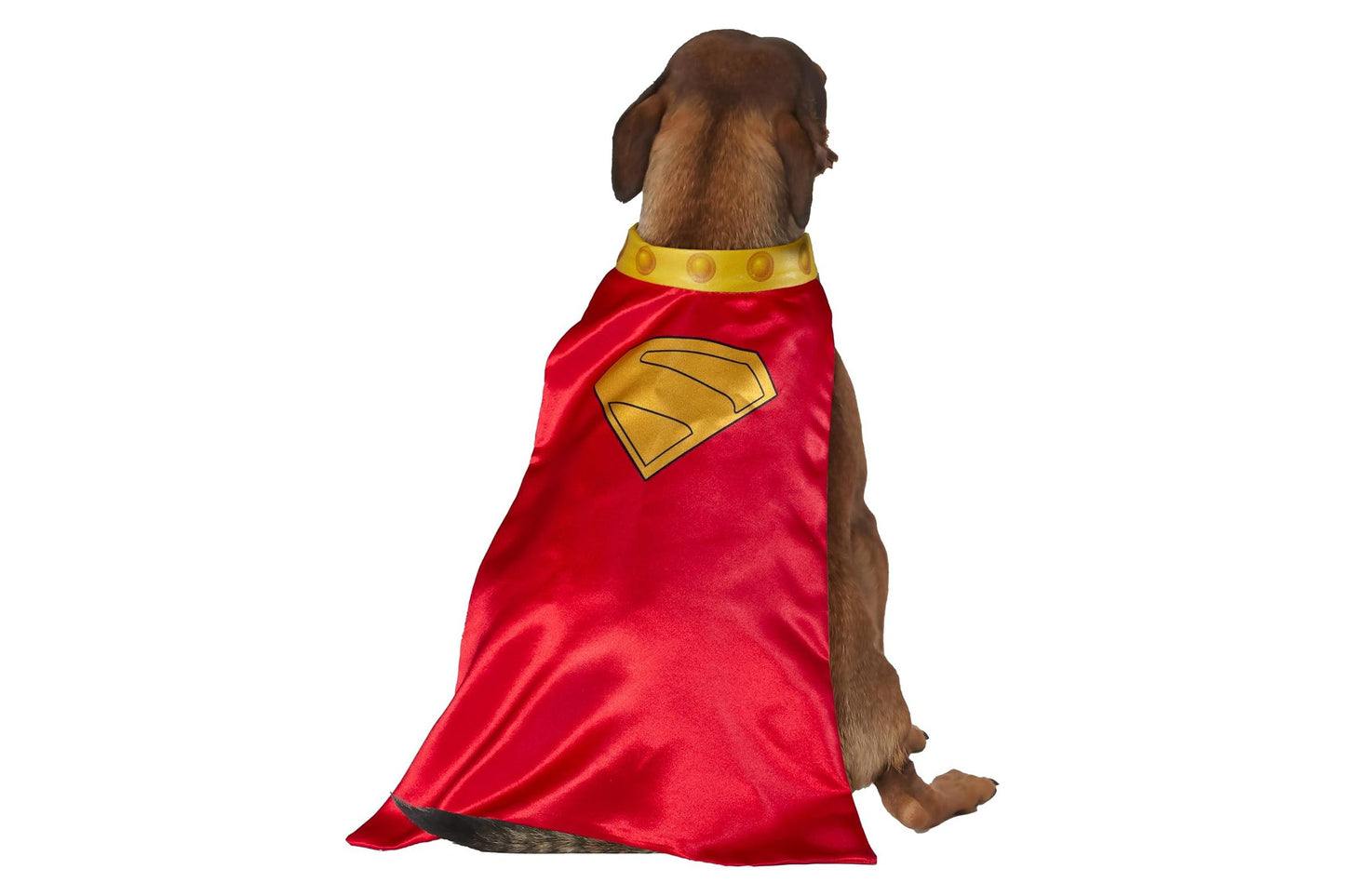 Dog Halloween Costumes | Krypto Pet Cape & Collar