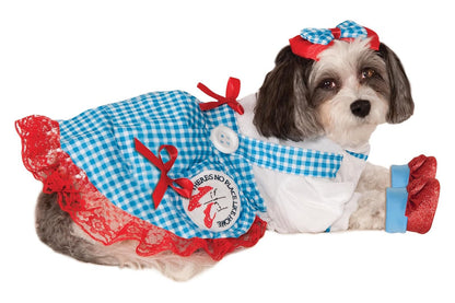 Dog Halloween Costumes | Dorothy