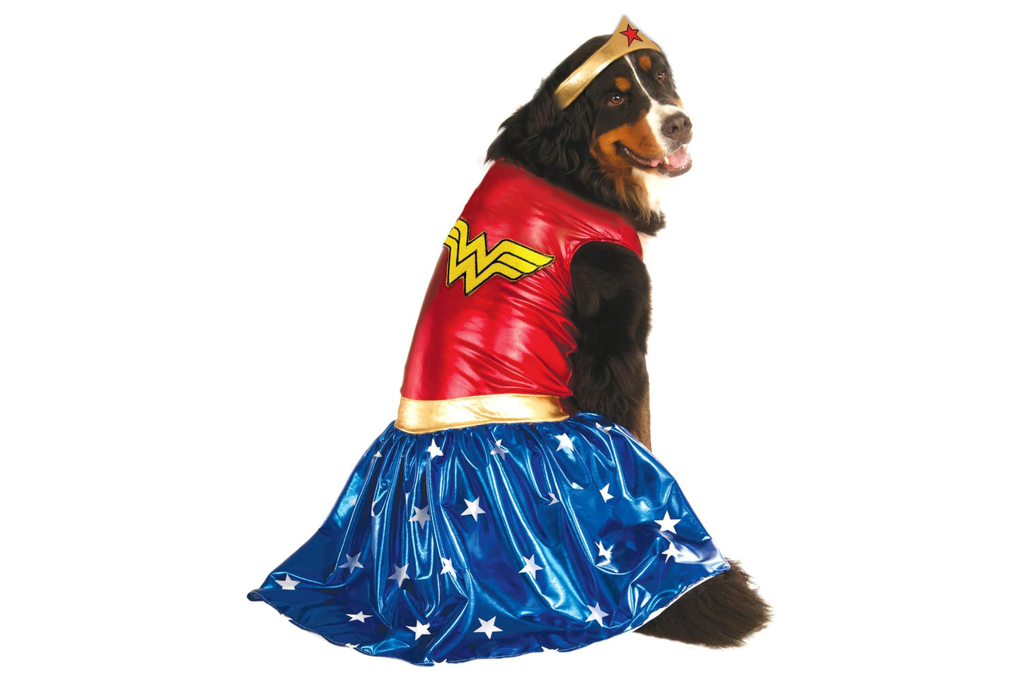Dog Halloween Costumes | Wonder Woman