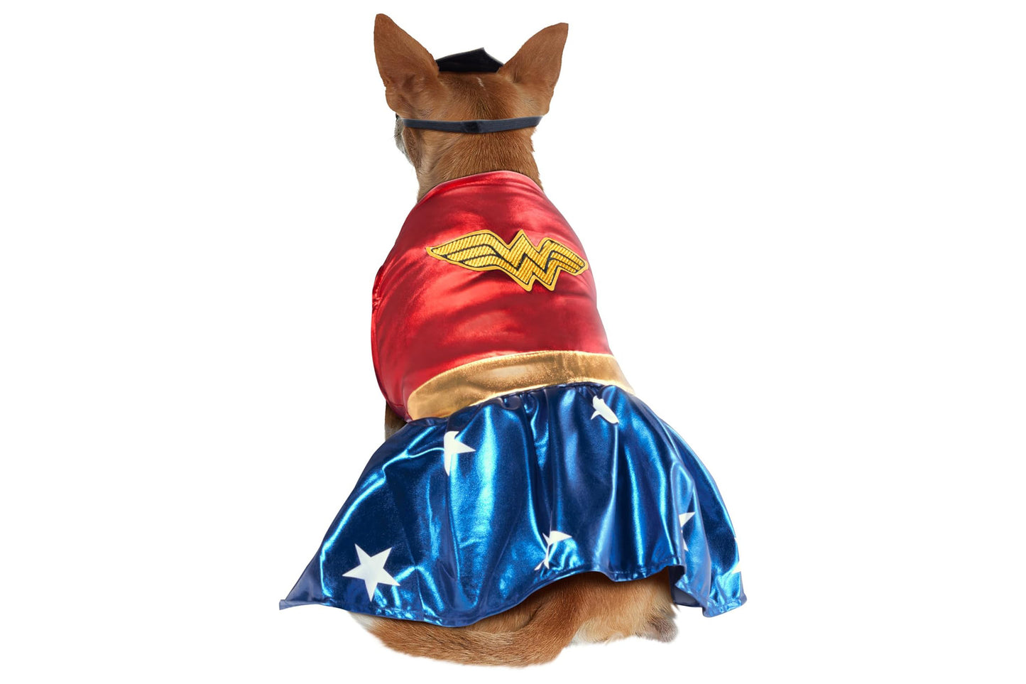 Dog Halloween Costumes | Wonder Woman