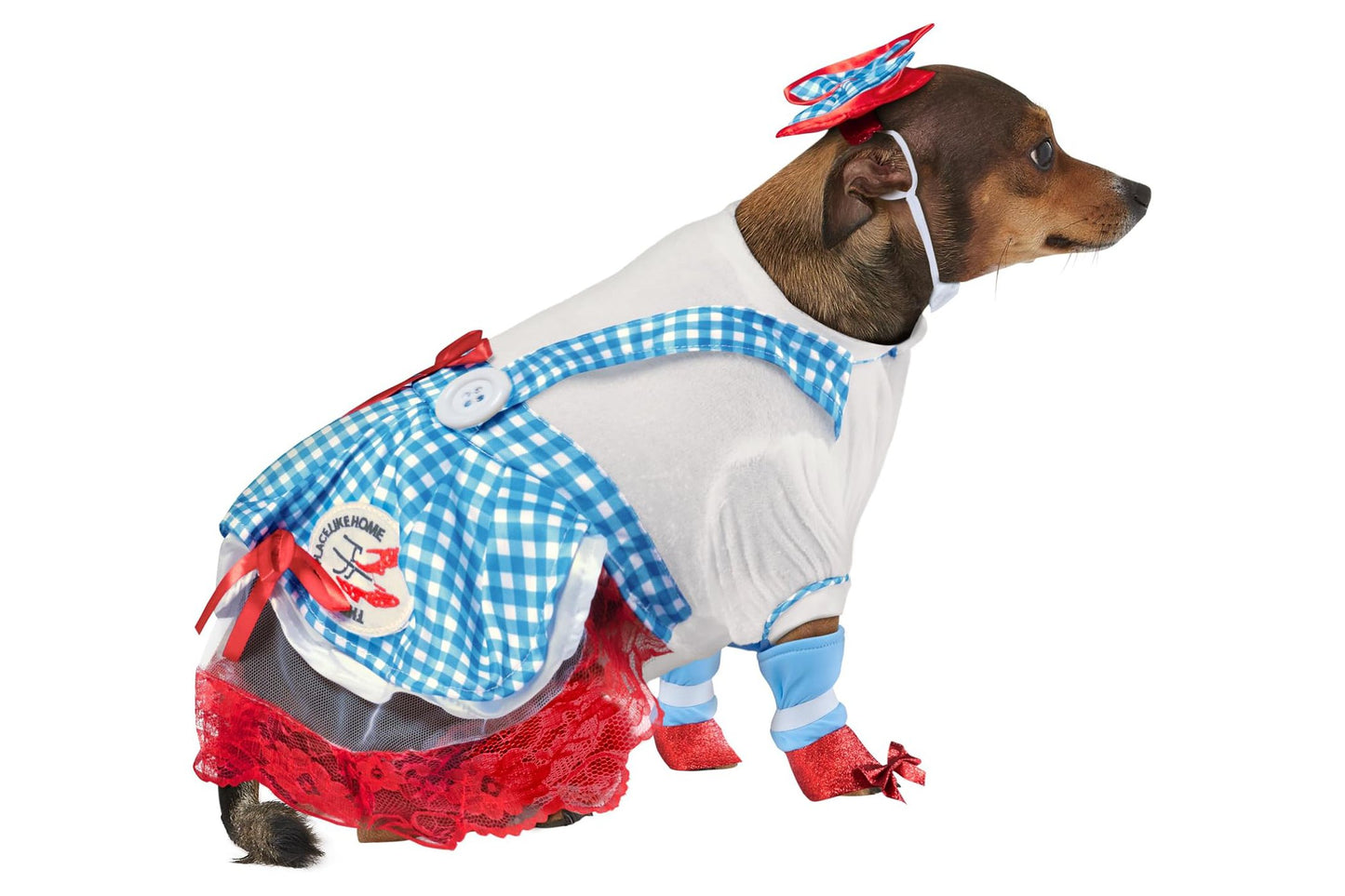 Dog Halloween Costumes | Dorothy