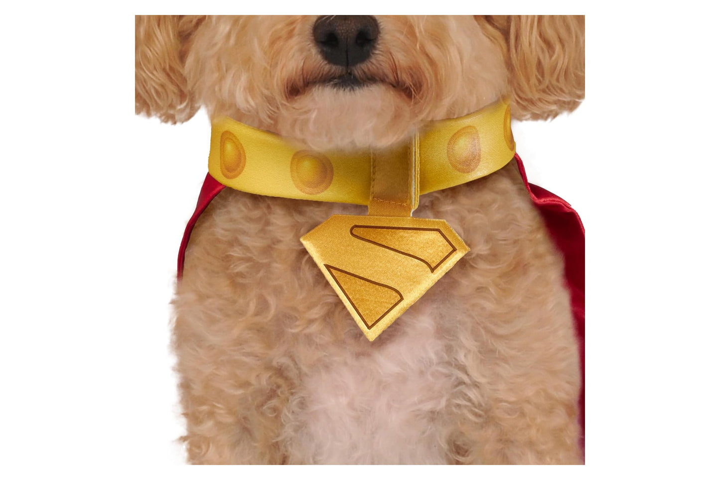 Dog Halloween Costumes | Krypto Pet Cape & Collar