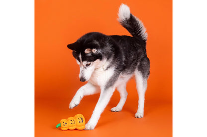 Halloween - Go Big Or Gourd Home Latex Dog Toy