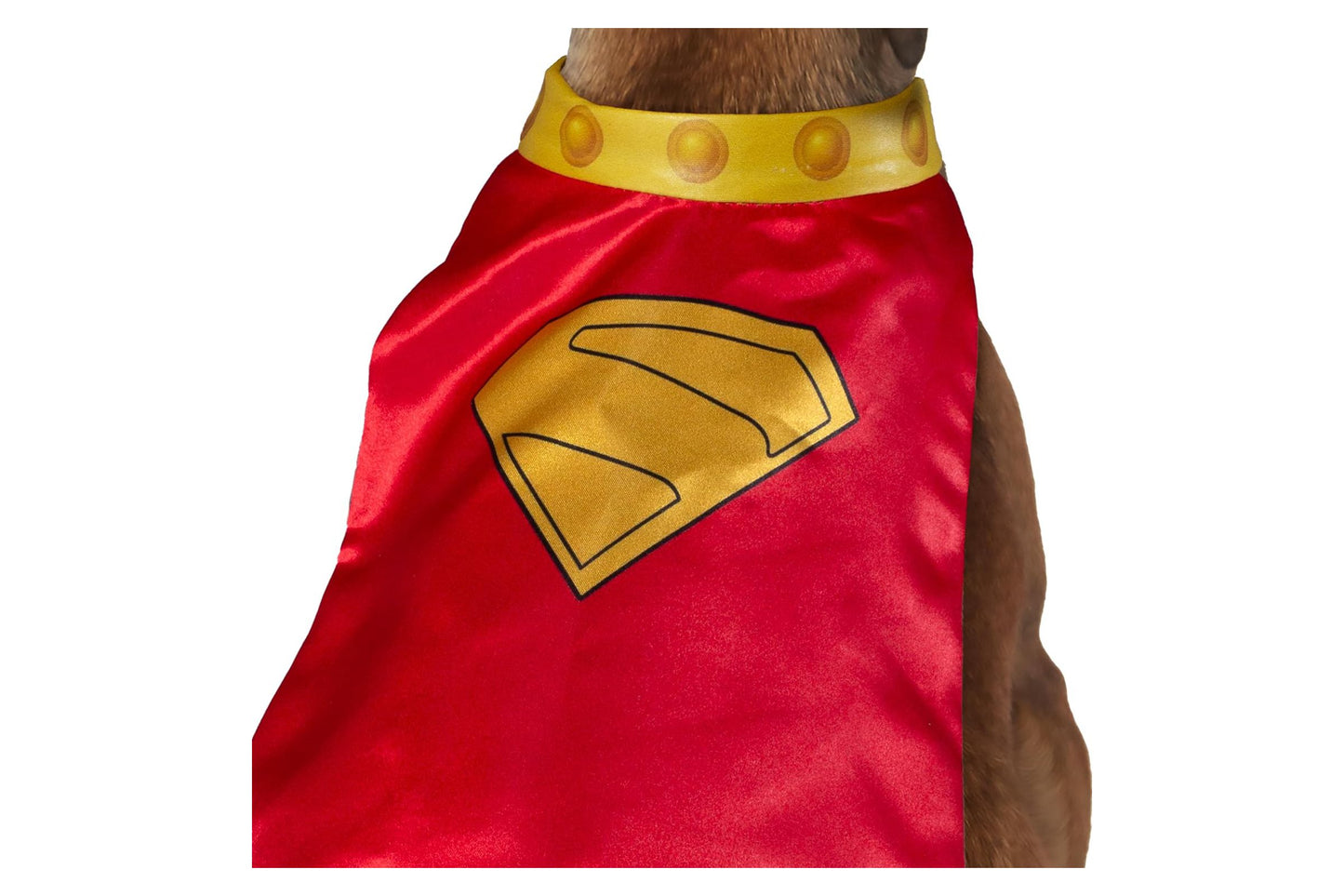 Dog Halloween Costumes | Krypto Pet Cape & Collar
