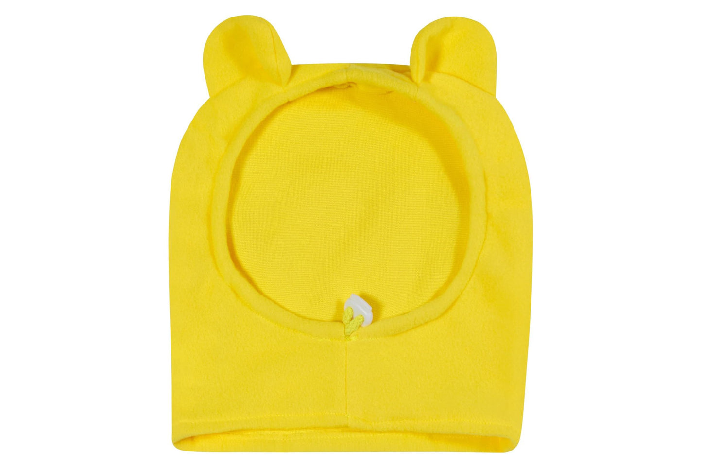 Dog Halloween Costumes | Pooh