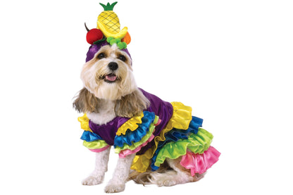 Dog Halloween Costumes | Brazilian Bombshell