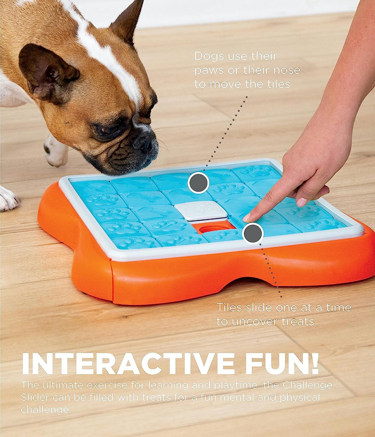 Interactive Toy - Challenge Slider Interactive Treat Puzzle - Dog Toy ...