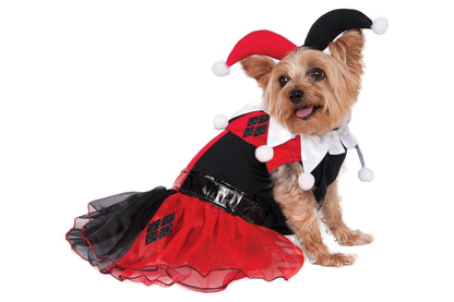 Dog Halloween Costumes | Harley Quinn