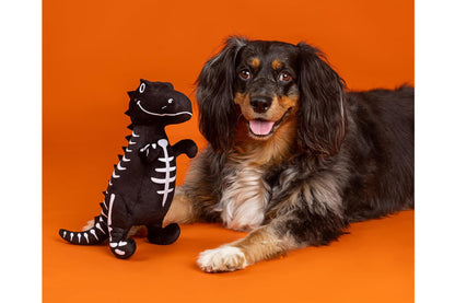 Halloween - Trick Rawr Treat Plush Dog Toy