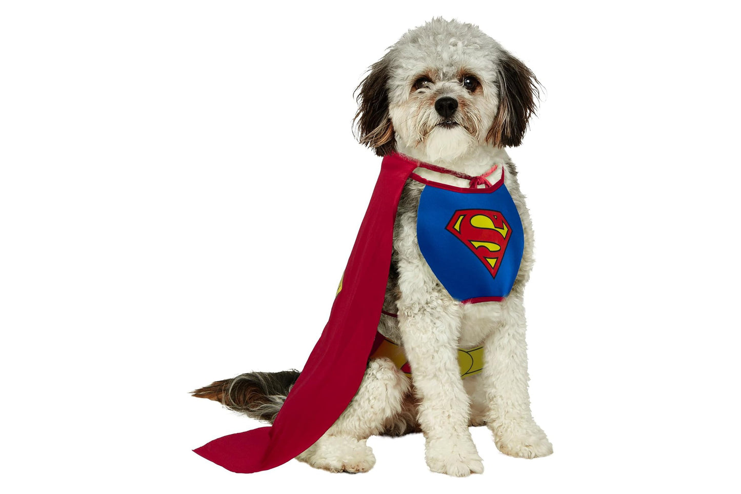 Dog Halloween Costumes | Superman Classic