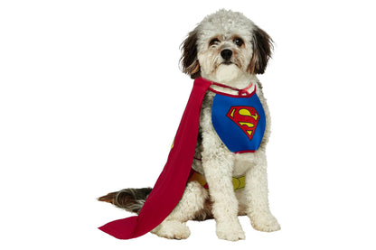 Dog Halloween Costumes | Superman Classic