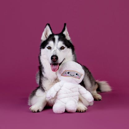 NEW - Dog Toy - Wrap Star Plush Dog Toy