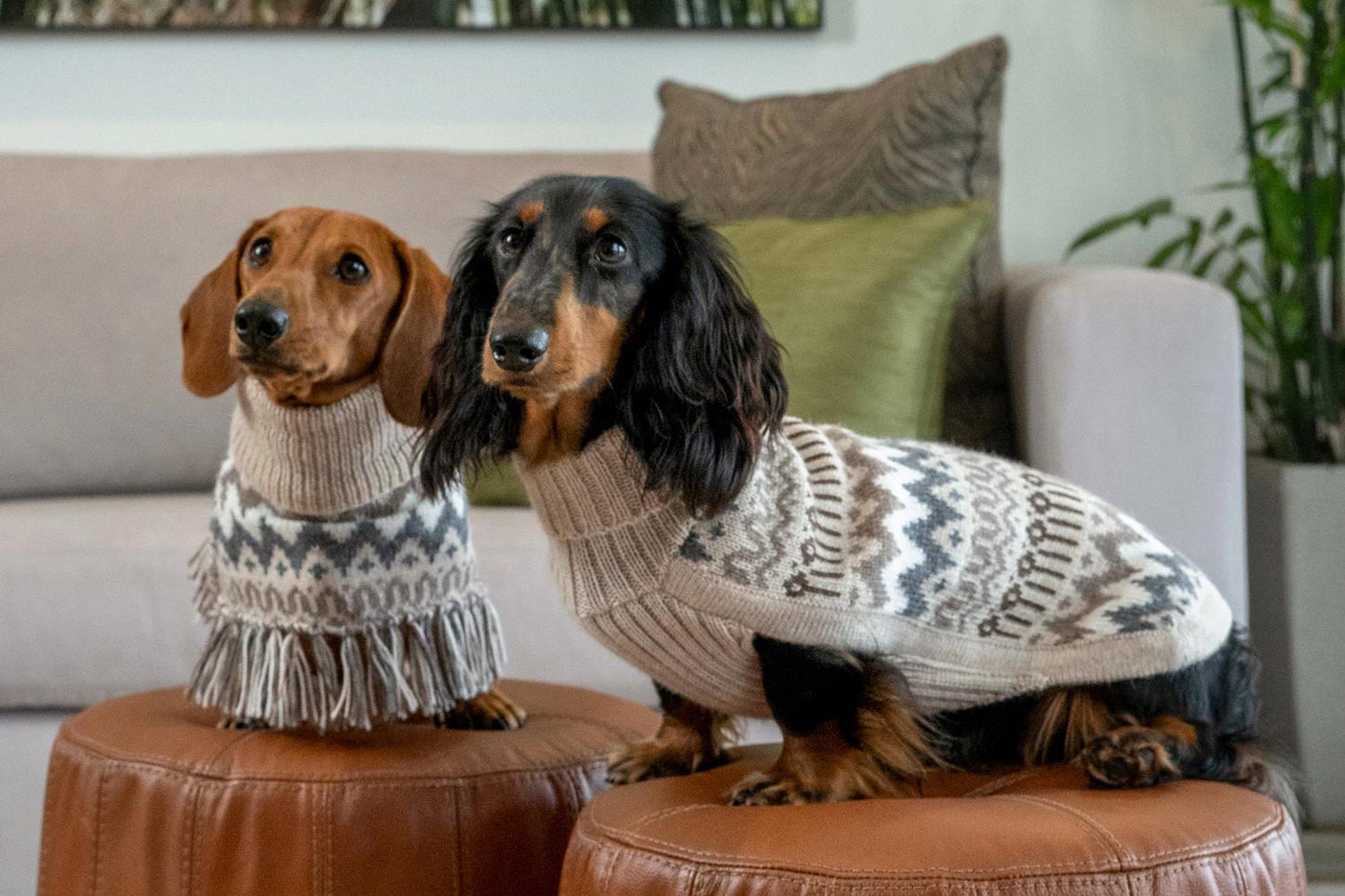 Dog Sweater - Woolly Winter Alpaca Dog Sweater