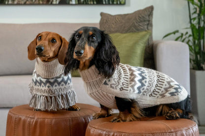 Dog Sweater - Woolly Winter Alpaca Dog Sweater