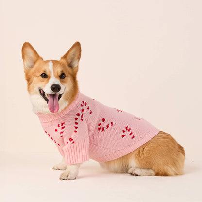 Christmas - Holiday - Pink Candy Canes Dog Sweater