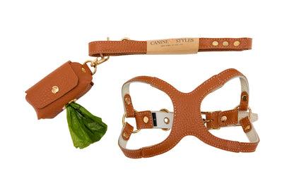 Brown leather dog lead, harness, and waste bag holder on a white background