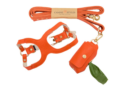 Orange dog harness, leash, and waste bag holder on a white background