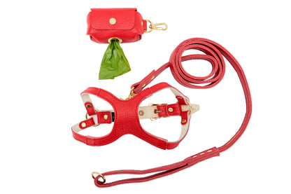 Red dog harness, leash, and poop bag holder on a white background