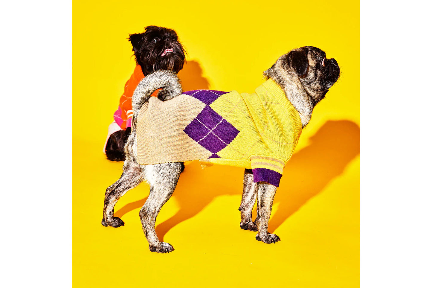 Dog Sweater - Argyle Sweater - Yellow/Purple
