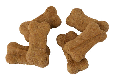 Thanksgiving Dog Treat