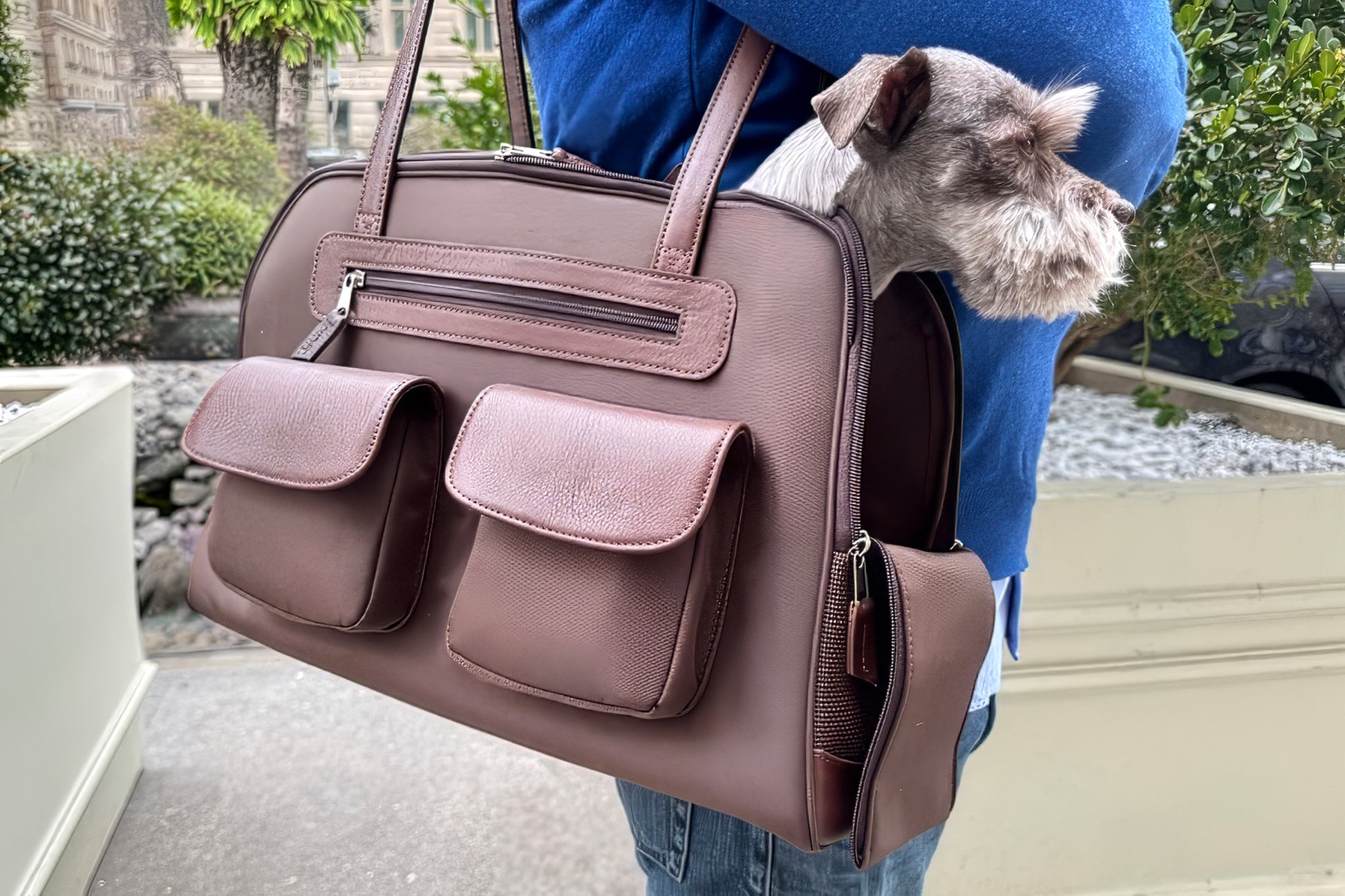 Brown pet carrier with a small dog peeking out, held by a person in a blue shirt outdoors.