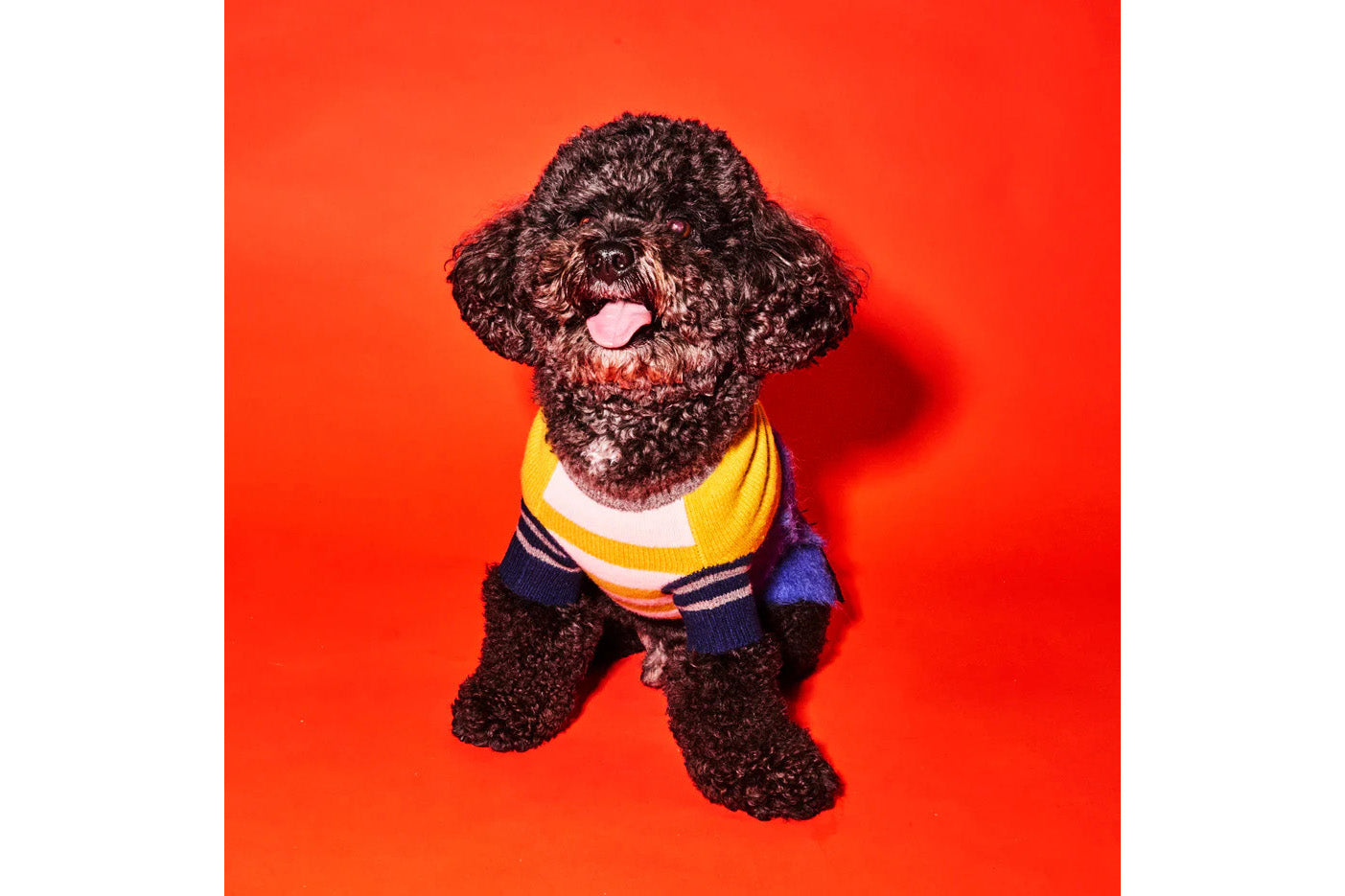 Dog Sweater - Blue/Gold Hairy Crazy Striped Sweater