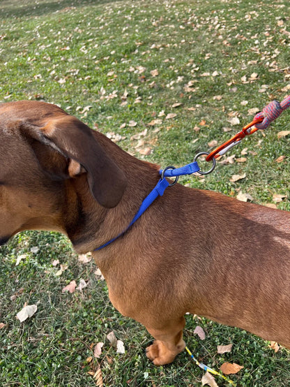 Timberwolf Rolled Nylon Slip/Choke Collar - Dog Collar