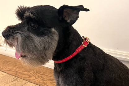 Cinopelca - Dog "Collar Only"- Italian Dog Collar - 6 Color Options