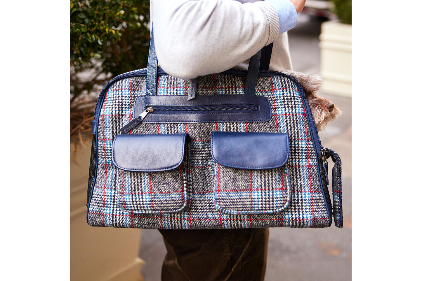 Dog Carrier - Winter - Cashmere Dog Carrier - Gray & Blue Plaid