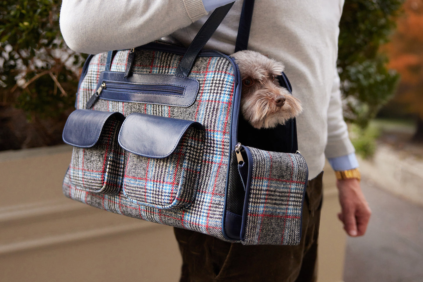 Dog Carrier - Winter - Cashmere Dog Carrier - Gray & Blue Plaid