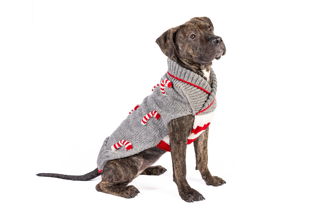 Christmas - Holiday - Gray Candy Cane Dog Sweater