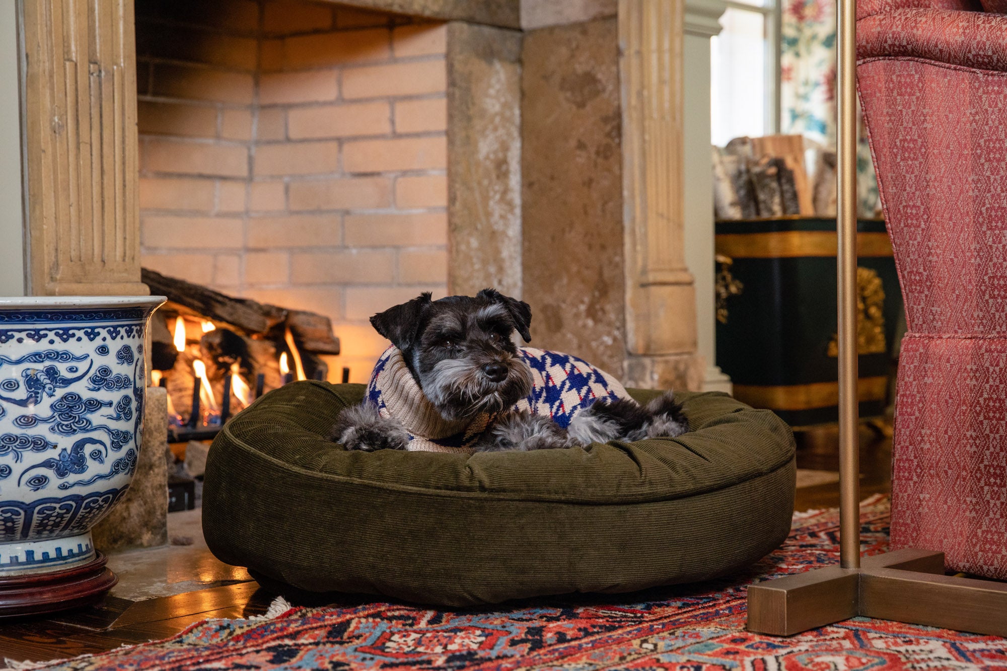 Canine Styles - Corduroy Camel or Dark Green - Dog Bed