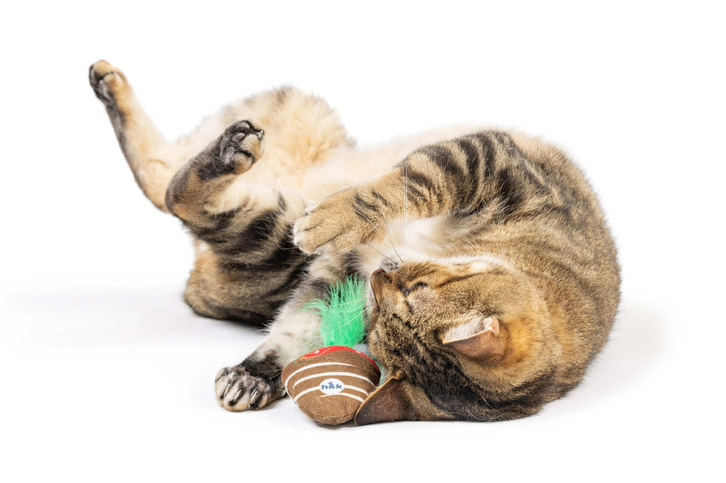 Feline - Chocolate Strawberry - Cat Toy