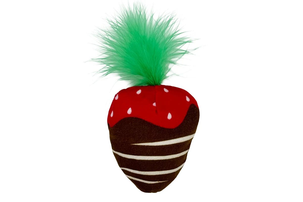 Feline - Chocolate Strawberry - Cat Toy