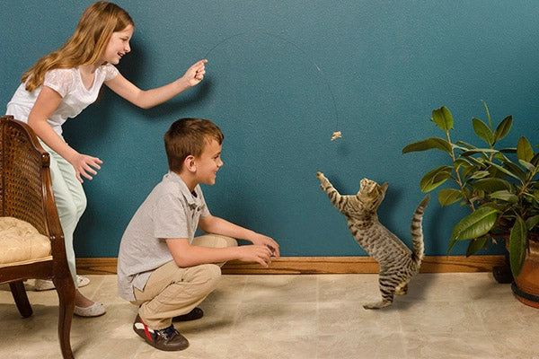 Cat Toy - Cat Dancer