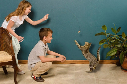 Cat Toy - Cat Dancer