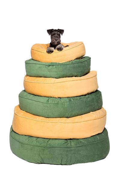 Canine Styles - Corduroy Camel - Corduroy Light Green - Dog Bed