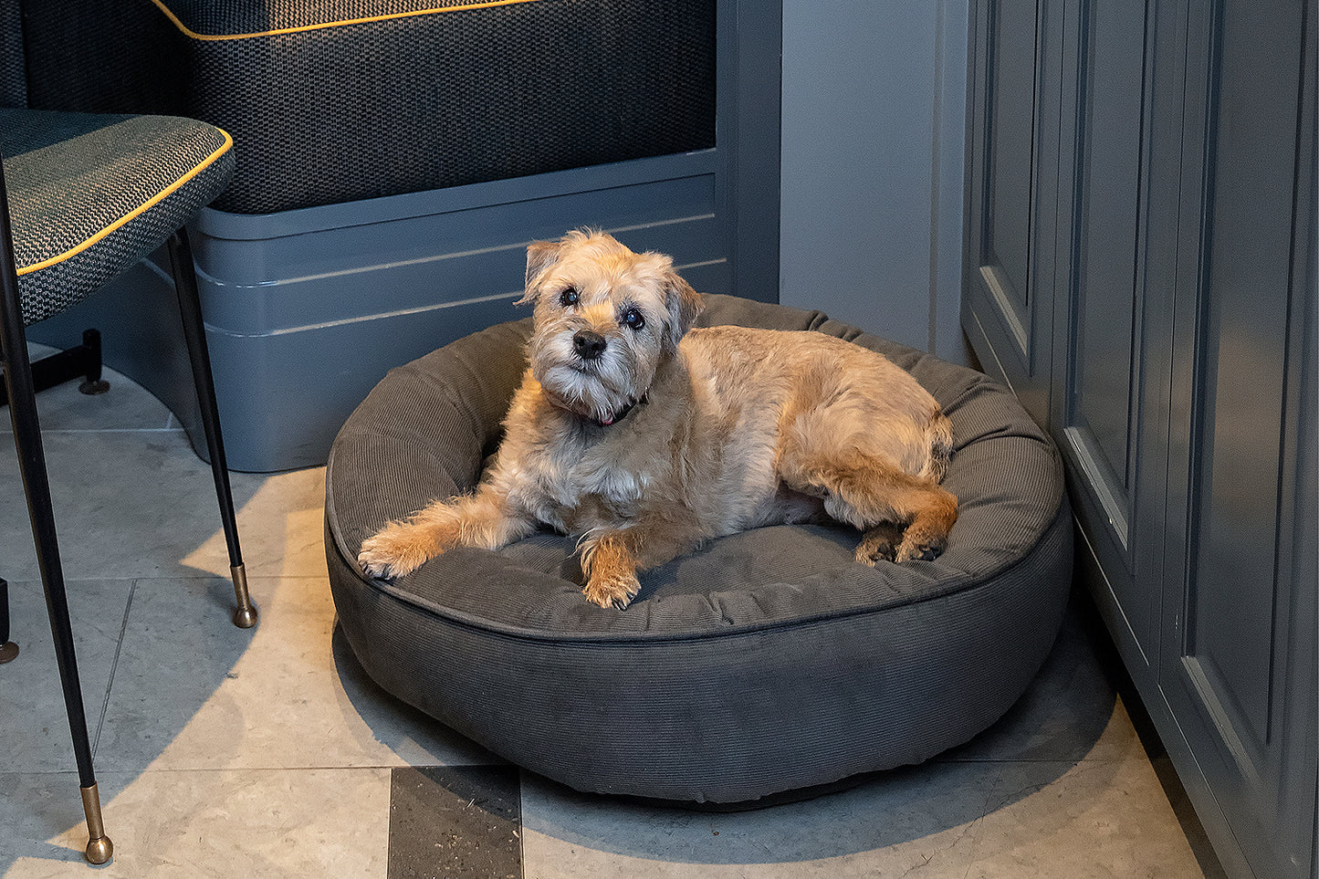 Canine Styles - Corduroy Gray - Corduroy Red - Dog Bed