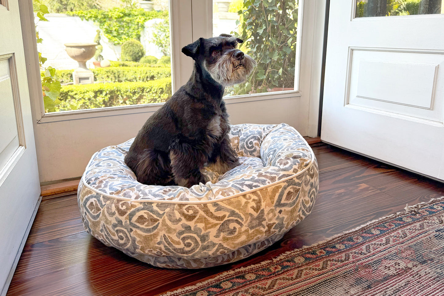 Dog sitting on a patterned dog bed in a room with a door and garden view.