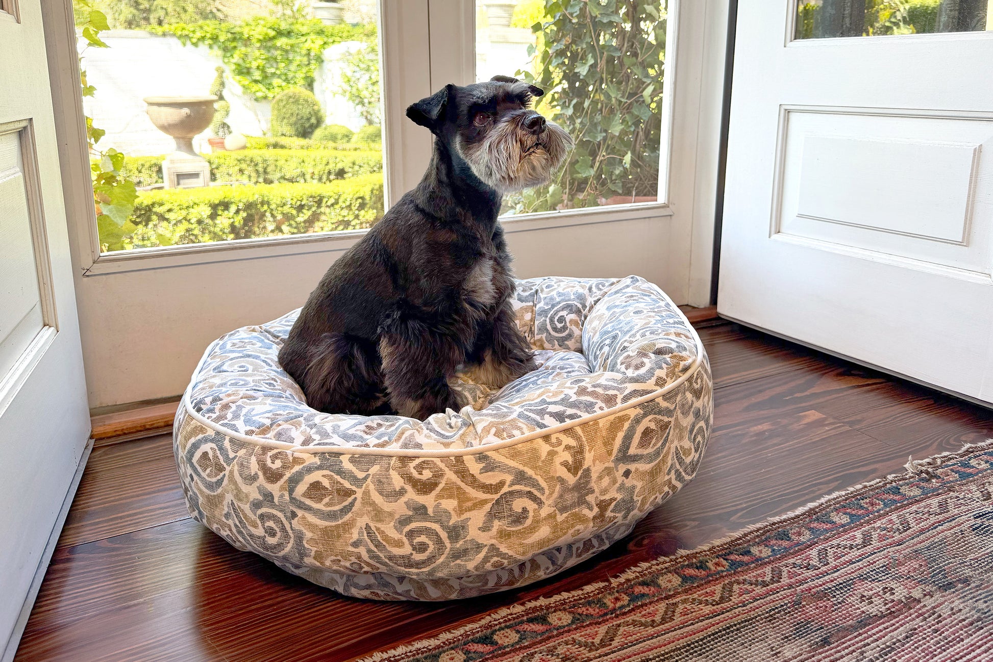Dog sitting on a patterned dog bed in a room with a door and garden view.