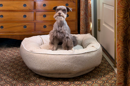 Dog sitting on a Sandstone Beige dog bed in a room with wooden furniture and patterned carpet.